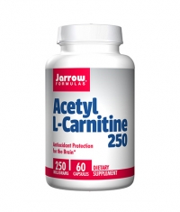 Jarrow Formulas Acetyl L-Carnitine / 60 Caps.