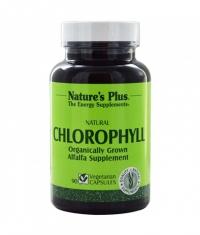 NATURE'S PLUS Chlorophyll / 60 Caps.