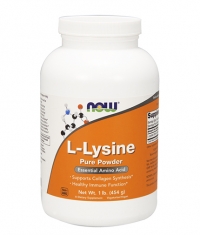 NOW L-Lysine Powder 454g