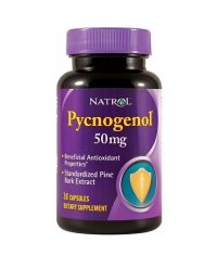 NATROL Pycnogenol ® 50mg. / 30 Caps.