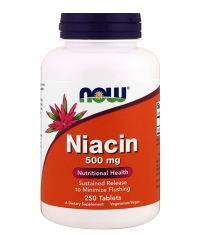 NOW Vitamin B-3 (NIACIN) 500mg / 250 Tabs