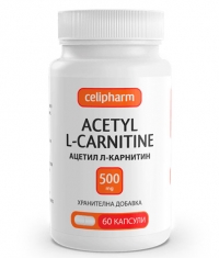 CELIPHARM Acetyl L-Carnitine / 60 Caps