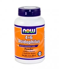 NOW Acidophilus 4X6 / 85g.