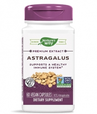 NATURES WAY Astragalus Standardized / 60 Vcaps.