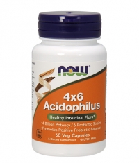 NOW Acidophilus 4X6 / 60 Caps.